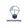 Dropshipping Business in 2025